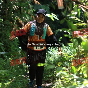 Runner Photo 338049