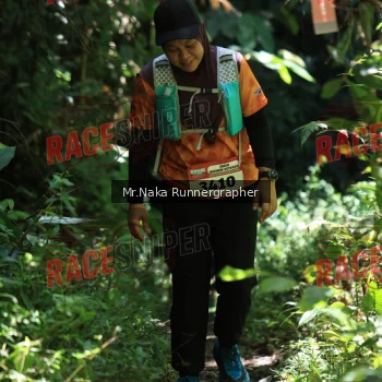 Runner Photo 338061