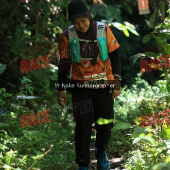 Runner Photo 338062