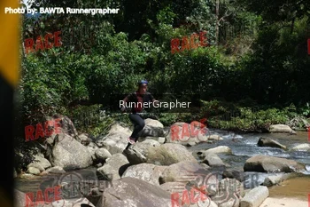 Runner Photo 338063