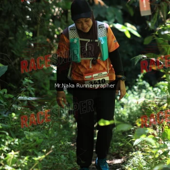 Runner Photo 338065