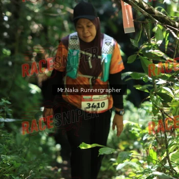 Runner Photo 338066