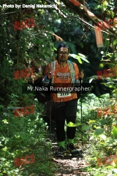 Runner Photo 338089