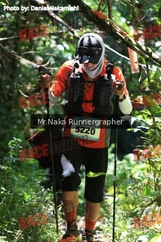 Runner Photo 338329