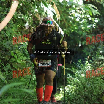 Runner Photo 338475