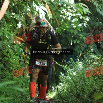 Runner Photo 338476