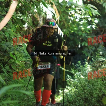 Runner Photo 338480