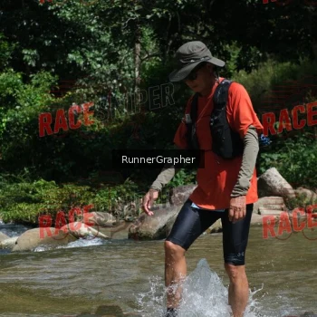 Runner Photo 338495