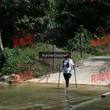 Runner Photo 338510