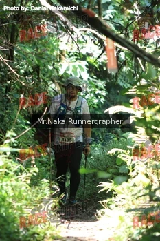 Runner Photo 338513