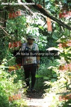Runner Photo 338516