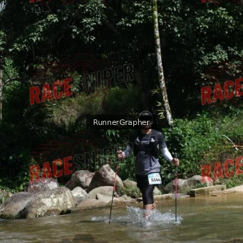Runner Photo 338583