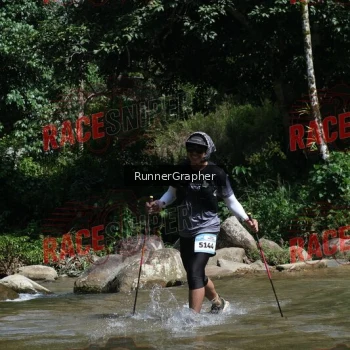 Runner Photo 338597