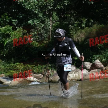 Runner Photo 338601