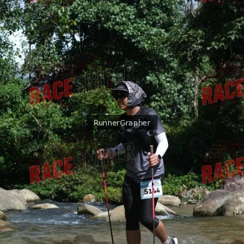 Runner Photo 338607