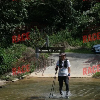 Runner Photo 338742
