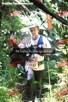 Runner Photo 338827