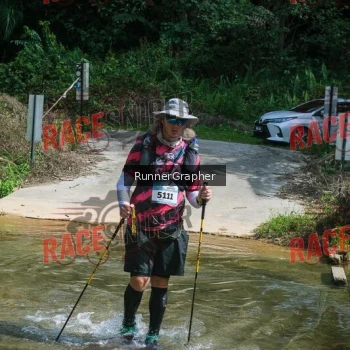 Runner Photo 339155