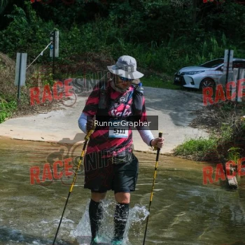 Runner Photo 339158