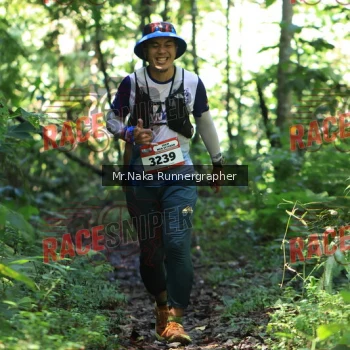 Runner Photo 339477