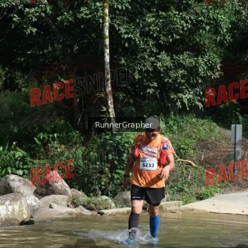 Runner Photo 339544