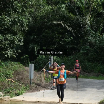 Runner Photo 339634