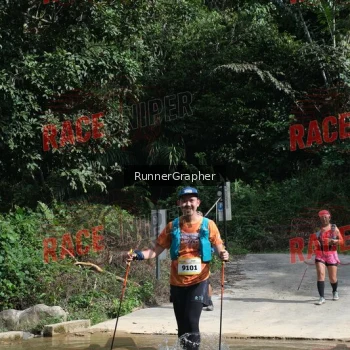 Runner Photo 339662