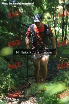 Runner Photo 339740