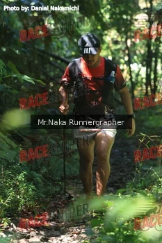 Runner Photo 339741