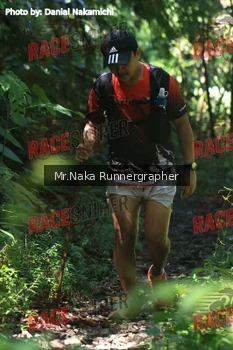 Runner Photo 339743