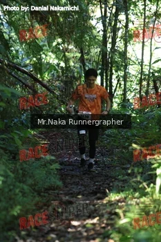 Runner Photo 339766