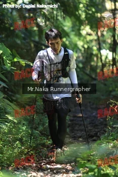 Runner Photo 339781