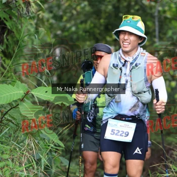 Runner Photo 339913