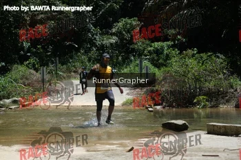 Runner Photo 339987