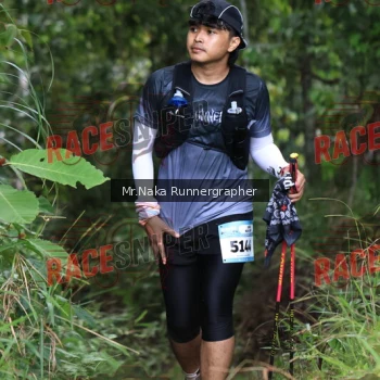 Runner Photo 340125