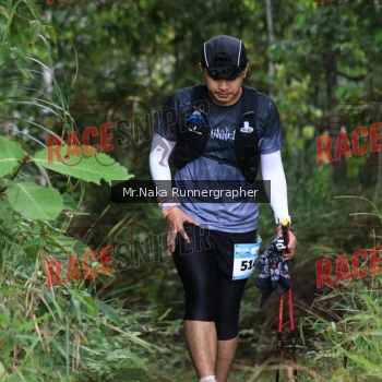 Runner Photo 340150
