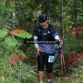 Runner Photo 340153