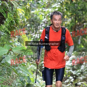 Runner Photo 340206