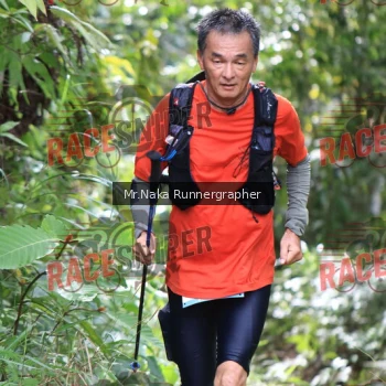 Runner Photo 340211