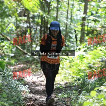 Runner Photo 340777