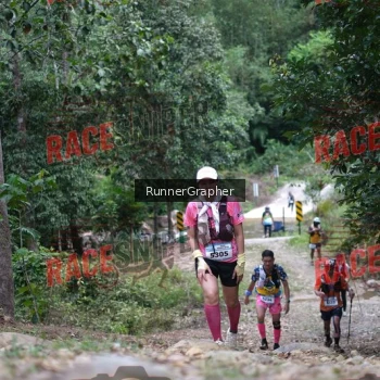 Runner Photo 340845