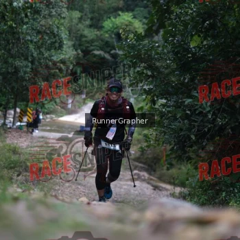 Runner Photo 340898