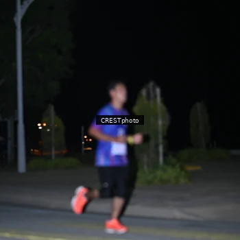 Runner Photo 3411525
