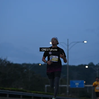Runner Photo 3411801