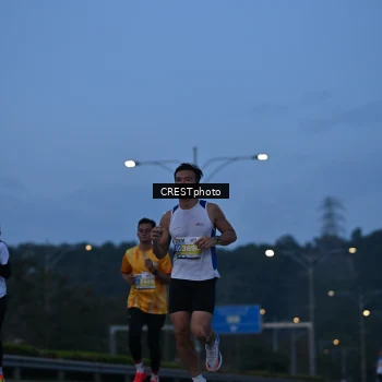 Runner Photo 3411893