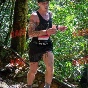 Runner Photo 341274