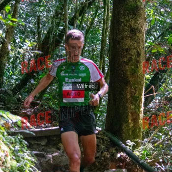 Runner Photo 341276