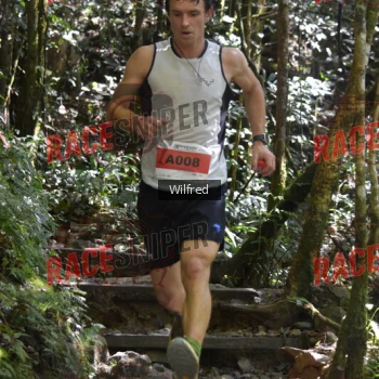 Runner Photo 341287