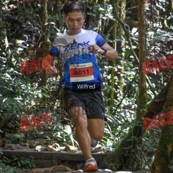 Runner Photo 341290