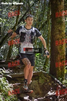 Runner Photo 341317
